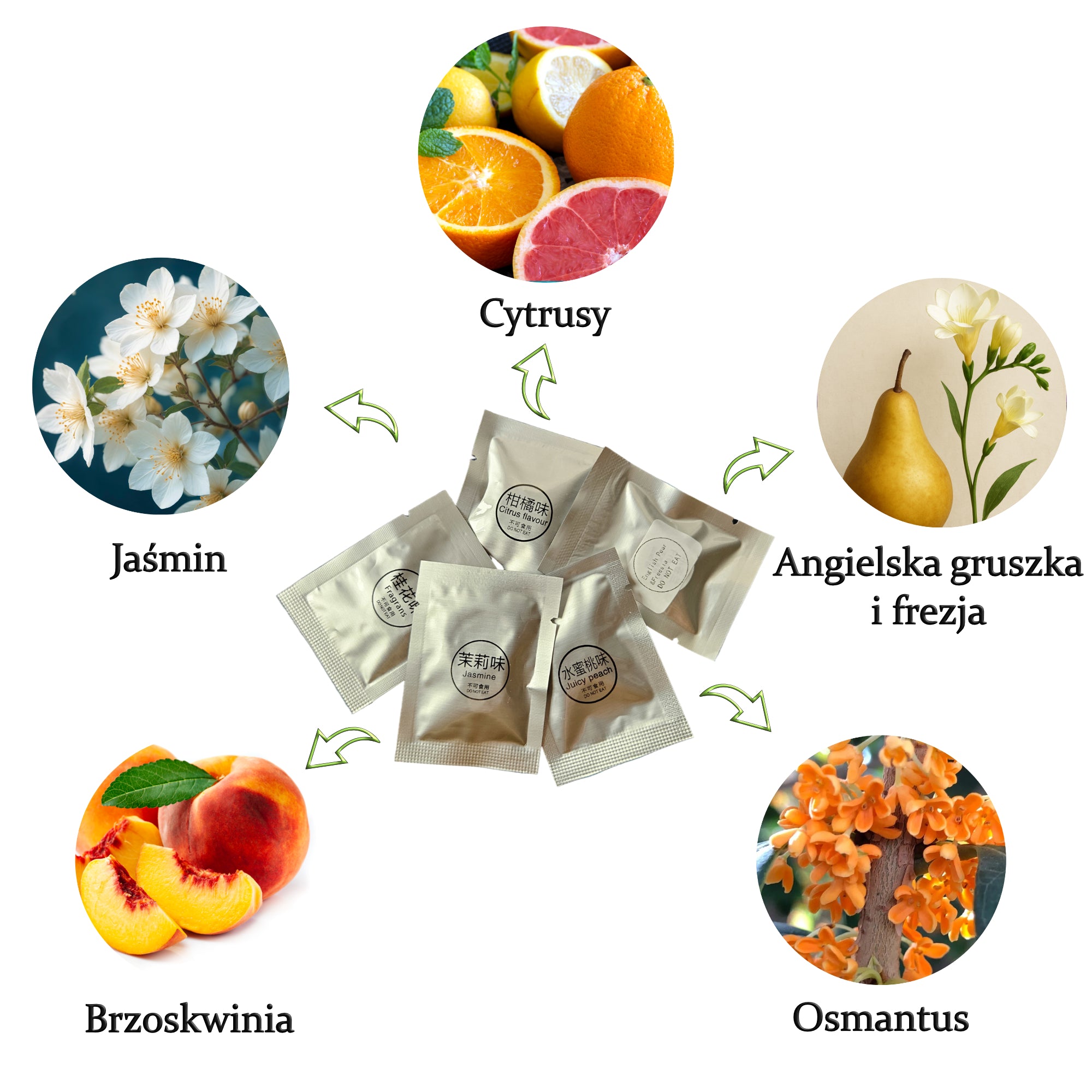 Dufteinsätze für Auto-Lufterfrischer – Set mit 5 Düften